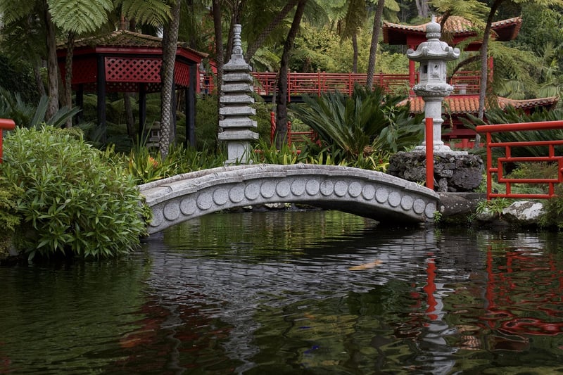 Zen Garden Oasis